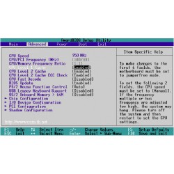 FLASH BIOS FOR OLD CPU