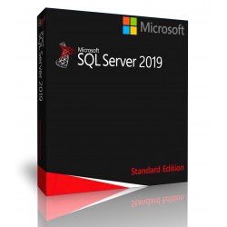 MS SQL SERVER 2019 EXPRESS EDITION